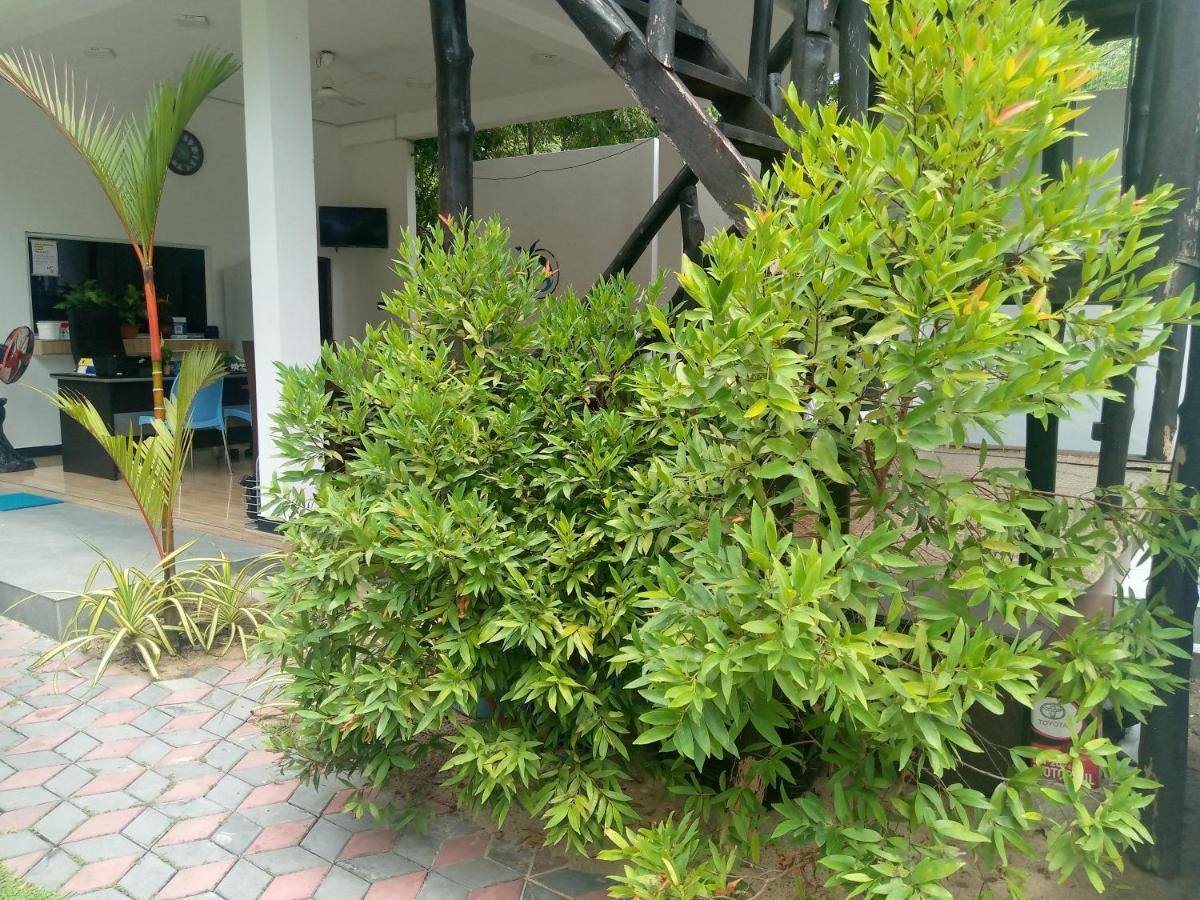 Green Ocean Bay Arugam Bay Exterior foto